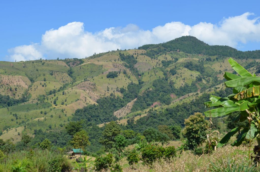Deforestation in the mountains of SE Asia_3